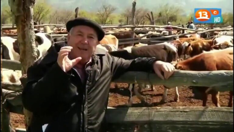 La Vida en la Patagonia Chilena  Entre Gauchos y Glaciares  Villa O’higgins